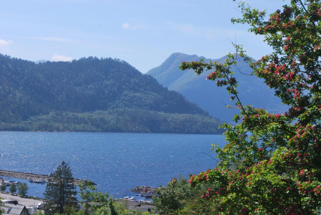 Vila Sjoholt Camping Exteriér fotografie