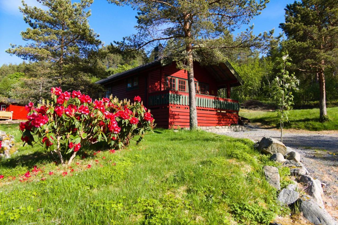 Vila Sjoholt Camping Exteriér fotografie